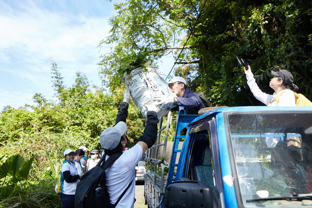 友達串聯志工組成水環境巡守隊，針對霄裡溪沿岸3公里的小花蔓澤蘭，定期進行移除與防治工作